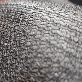 تصویر کفپوش سه بعدی صندوق عقب خودرو اس آی سی جی مدل CBN مناسب برای بسترن B30 