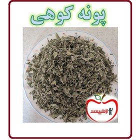 تصویر پونه کوهی اعلا – 500گرم 