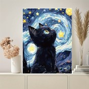 تصویر نقاشی الماسی بزرگسال گربه در شب پرستاره – سایز 20*30 (تمام‌نگین) 