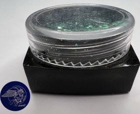 تصویر پولکی 