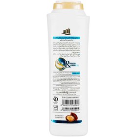 تصویر شامپو روزانه حاوی کراتین و روغن آرگان 400 گرمی اوه Ave Argan Oil Hair Shampoo 400ml