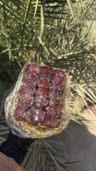 تصویر خرما کبکاب کارتن پرسی 1 کیلویی 