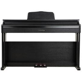 تصویر پیانو نسخه ADP 1981 BNG 2025 Arsenberg 