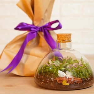 تصویر فروشگاه خانه گل گلوريا