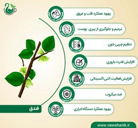 تصویر روغن فندق (120 میلی‌لیتر) کاژان Hazelnut Oil