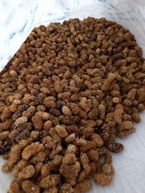 تصویر توت خشک درجه 3 