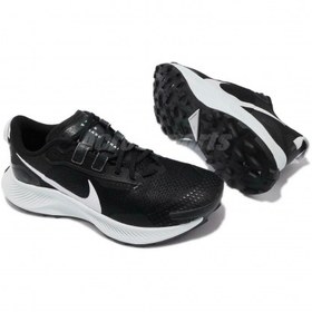 Nike zoom 2025 pegasus 3l