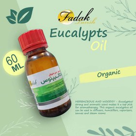 تصویر محلول بخور فدک تانیش مدل Eucalyptus حجم 60 میلی لیتر 