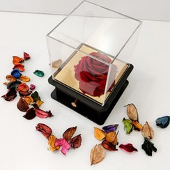 تصویر باکس رز جاودان کشودار 