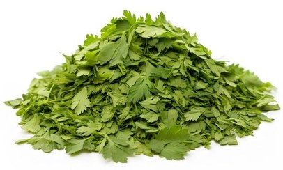 تصویر جعفری خشک شده - پاکت پلاستیکی / 500g / اسیاب شده Dried parsley