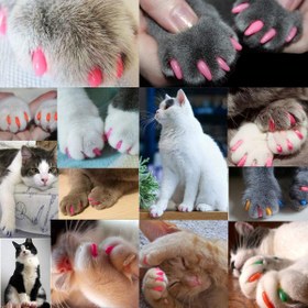 تصویر روکش ناخن پنجه گربه خانگی (کلاه ناخن گربه ) برند: dfdtyca کد: N 800 ا Homemade cat claw nail cover (cat nail cap) Brand: dfdtyca Code: N 800 Homemade cat claw nail cover (cat nail cap) Brand: dfdtyca Code: N 800