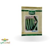 تصویر بذر خیار رنجر ۲۵۰۰ عددی هیبرید 