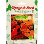 تصویر بذر گل شب بو زعفرانی 