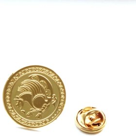 تصویر بج سینه شیردال (سیمرغ) 