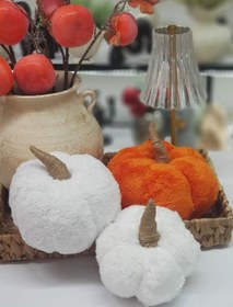 تصویر کدو پولیشی دکوری 