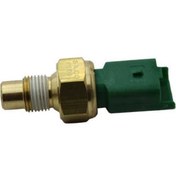 تصویر فشنگی آب دوفیش سبز EF7 سمند - ISACO - ایساکو ۹۹ 