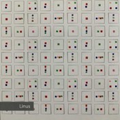 تصویر پرده حمام 140*190 رزین تاژ طرح Linus 