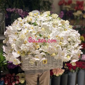 تصویر سبد گل ارکیده 