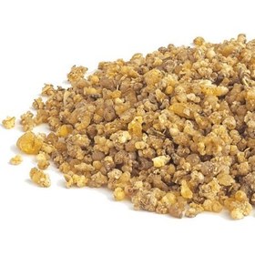 تصویر ترنجبین 