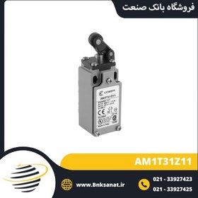 تصویر میکروسوئیچ کامپی ایتالیا ( COMEPI ) مدل AM1T31Z11 