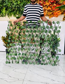 تصویر فنس آکاردیون 