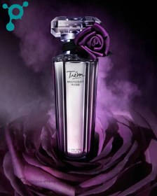 تصویر عطر میدنایت رز رسک Rosek