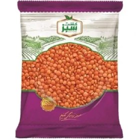 تصویر عدس دانه بزرگ کشت سبز 