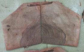 تصویر ریشه گردو ۱.۳۰۰گرم 