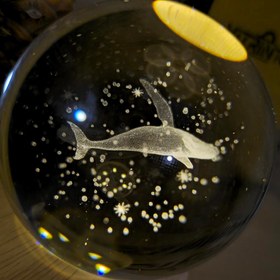 تصویر گوی کریستالی نهنگ 