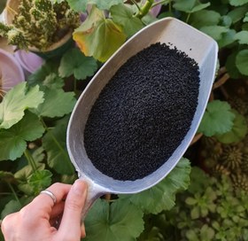 تصویر سیاهدانه 