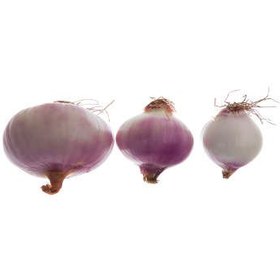 تصویر پیاز محلی با بذر بومی مقدار 1000 گرم ا Local Onion With Native Seed 1000 gr Local Onion With Native Seed 1000 gr