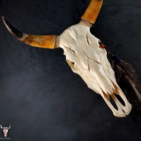 تصویر جمجمه گاو ساده 