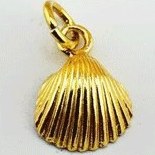 تصویر آویز طلا صدف | نماد زیبایی طبیعی، آرامش و لطافت 