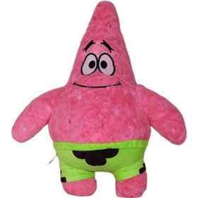 تصویر پاتریک پولیشی پرزی 55 س ۱۴۸۵۴ 