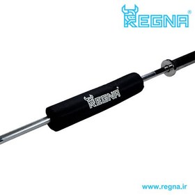 تصویر پد اسکات R 