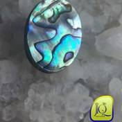 تصویر نگین صدف آبالون 