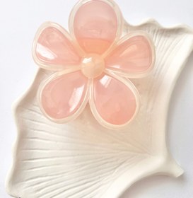 تصویر کلیپس گل پینترستی - کد 