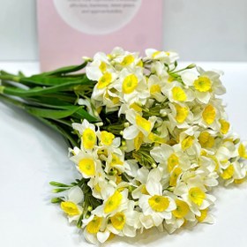 تصویر گل نرگس 