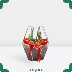 تصویر تراریوم لاکچری کد S09 