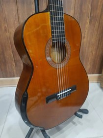 تصویر گیتار دیاموند آرم رست دار Diamond guitar