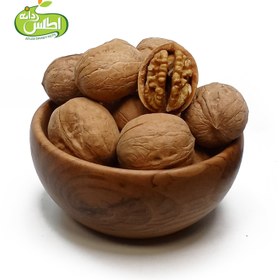 تصویر گردو بلغاری B2 