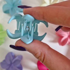 تصویر کلیپس پلومریا شمعی 