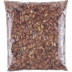 تصویر تخمه آفتابگردان قرمز 