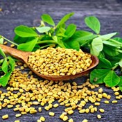 تصویر تخم شنبلیله - ساوه ناتس 