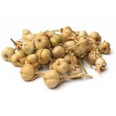 تصویر اسپند مقدار 100 گرم 