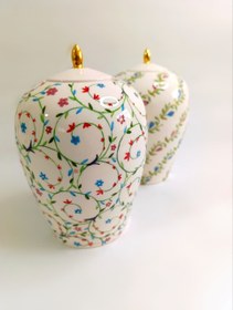 تصویر جینجر آکوا 