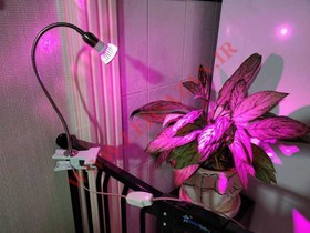 تصویر لامپ رشد گیاه ۳ وات ~ ۹wl با پایه خرطومی فول اسپکتروم 