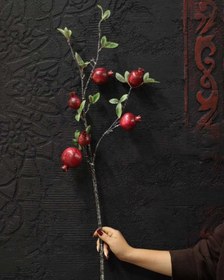 تصویر شاخه انار قرمز 