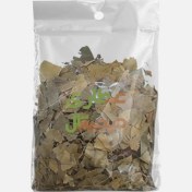 تصویر جینکو بیلوبا 