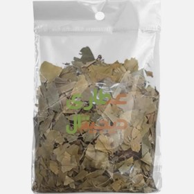 تصویر جینکو بیلوبا 